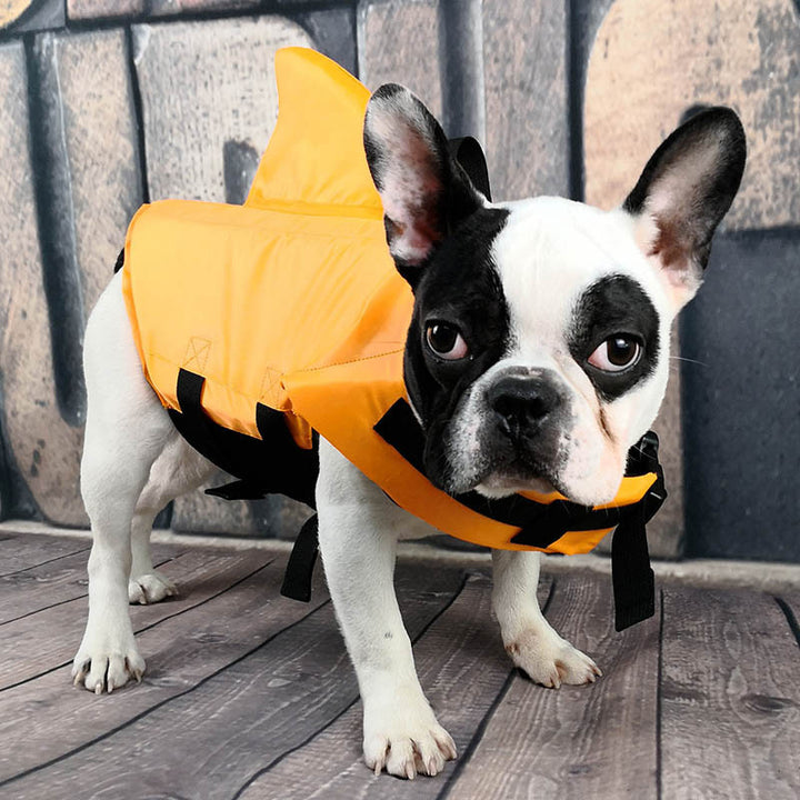 Shark Life Vest for Dogs