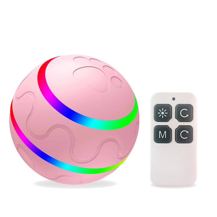 Intelligent Ball Toy